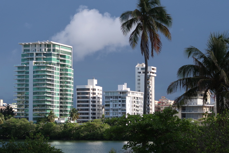 water, skyscraper, built structure, no people, sky, tree, plant, puerto rico, architecture, apartment, day, 5K, palm tree, san juan, office building exterior