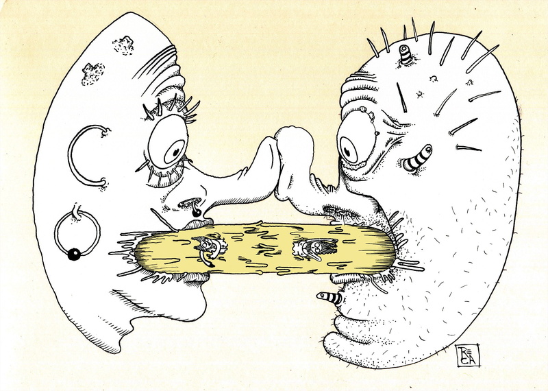ink, reca, drawing, illustration, 1080P, cartoon