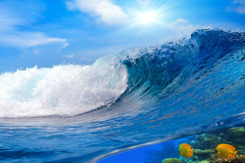 power in nature, sunlight, cloud - sky, beauty in nature, sport, sky, two, day, lens flare, fishes, wave, no people, scenics - nature, motion, 4K, yellow