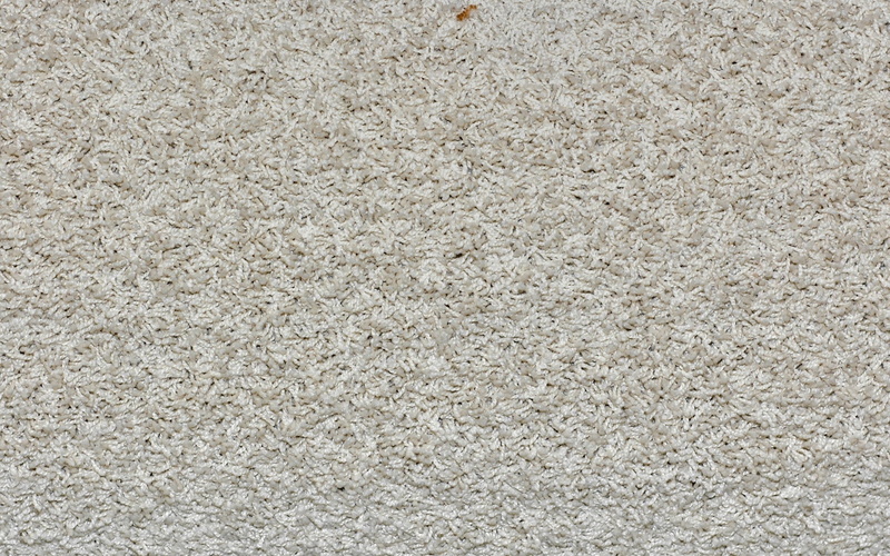 softness, rice - Food Staple, meal, textured, backgrounds, no People, nature, flooring, surface, rug, indoors, food, full frame, textile, dieting, organic