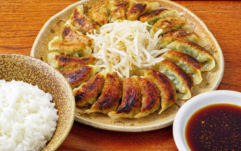 cultures, meat, food and drink, wellbeing, plate, healthy eating, slice, cooked, spice, baked, bowl, cheese, japanese food, dinner, freshness, savory Sauce