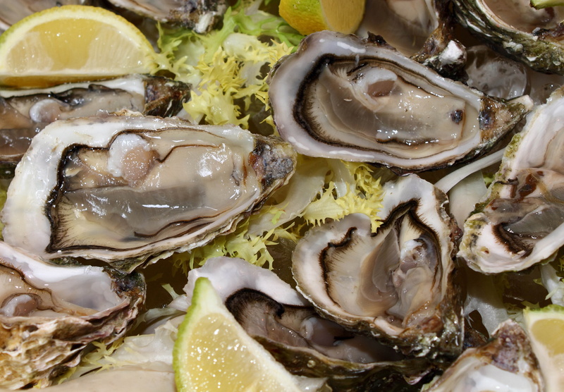 indoors, cooking, meal, refreshment, fruit, mussel, oyster, bivalve, crustacean, restaurant, prepared Shellfish, appetizer, vegetable, high angle view