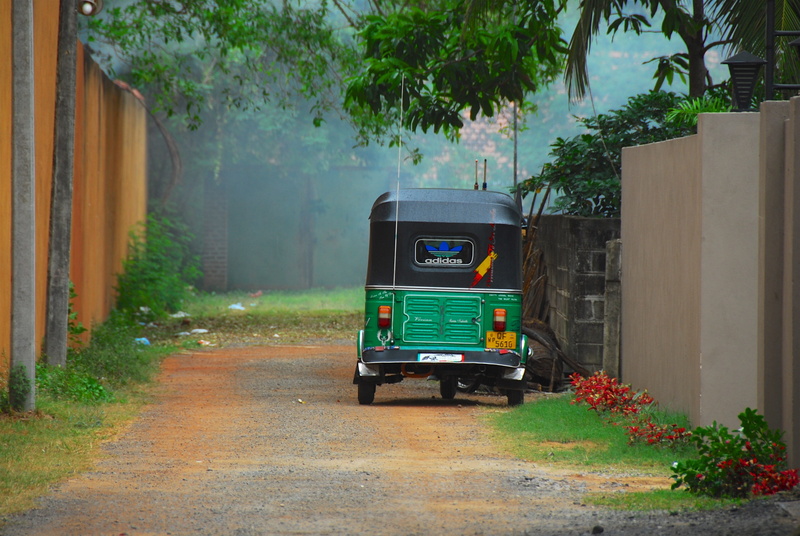 built structure, plant, day, Rickshaw, motion, green, land vehicle, Taxi, tuk-tuk, concrete, near, architecture, transportation, green color, 4K, auto