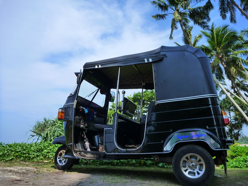 tree, plant, mode of transportation, sky, day, truck, land, road, transportation, outdoors, palma, no people, car, nature, motor vehicle, tuk tuk, 4K