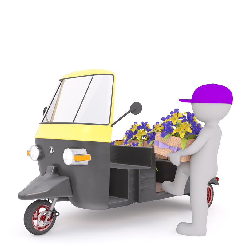 riding, 3d, cut out, flowers, art and craft, representation, model, 8K, people, toy, technology, petaled, flower, males, day, auto, adult, man, flowering plant