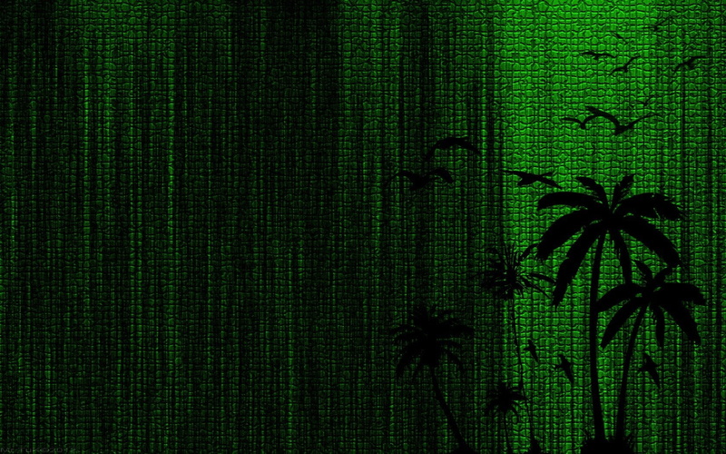 leather, Bay, Green, Trees, mr, 720P, New, birds, Tuk, Palm