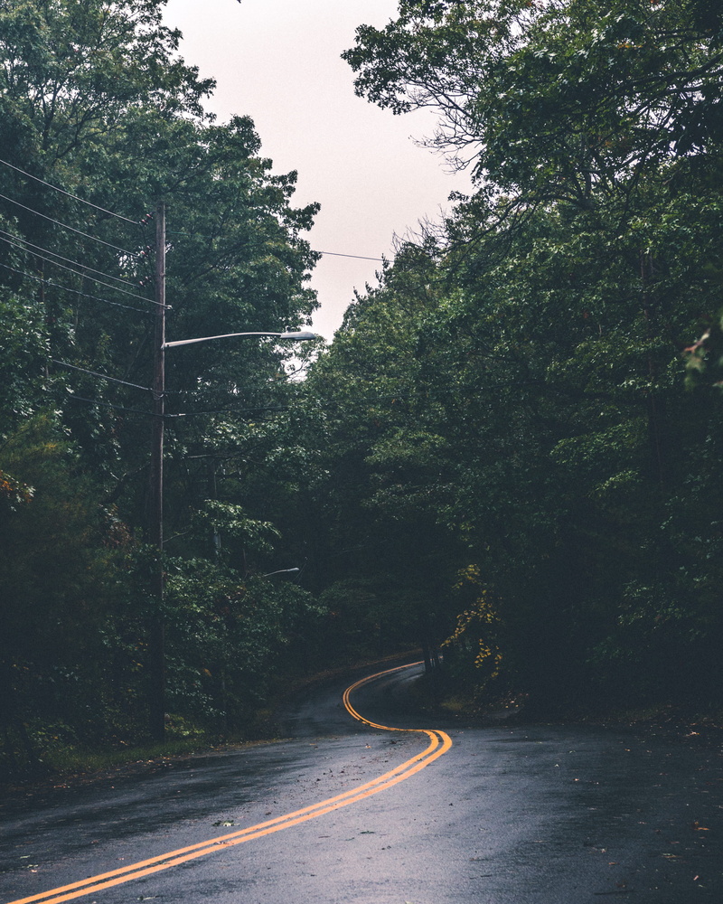 lamp, daytime, streetlight, direction, bend, day, tree, asphalt, light, swirling, gray, street, curve, trees, the way forward, no people, streetlamp, outdoors
