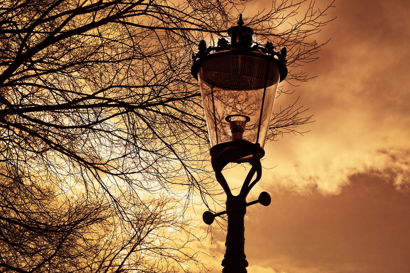 weesperzijde, day, sunset, european, branch, outdoors, plant, silhouette, street, sky, post, electric lamp, lamppost, old, electric light, nature, street light