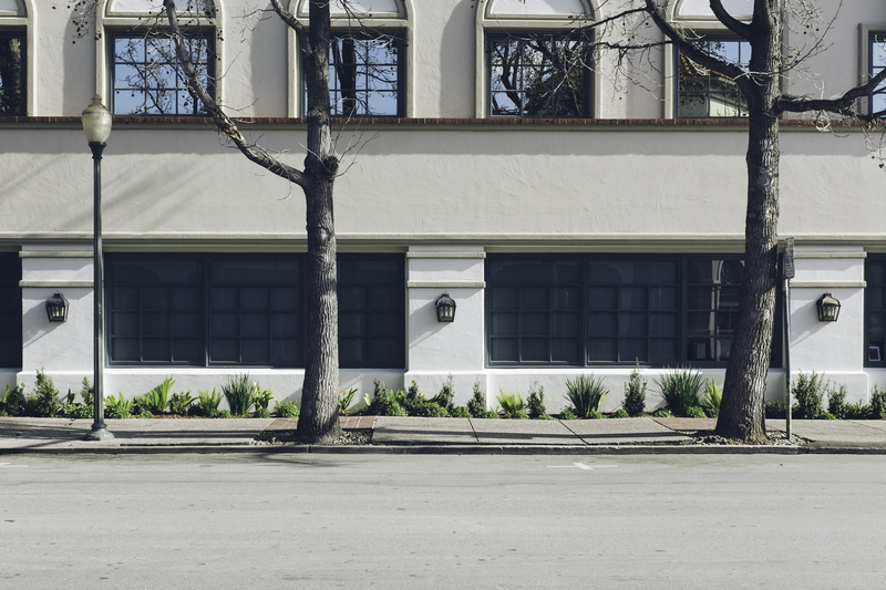 transportation, sidewalk, door, entrance, pavements, two, built structure, street, plant, urban, white, front, tree, road, bare, building exterior, facade