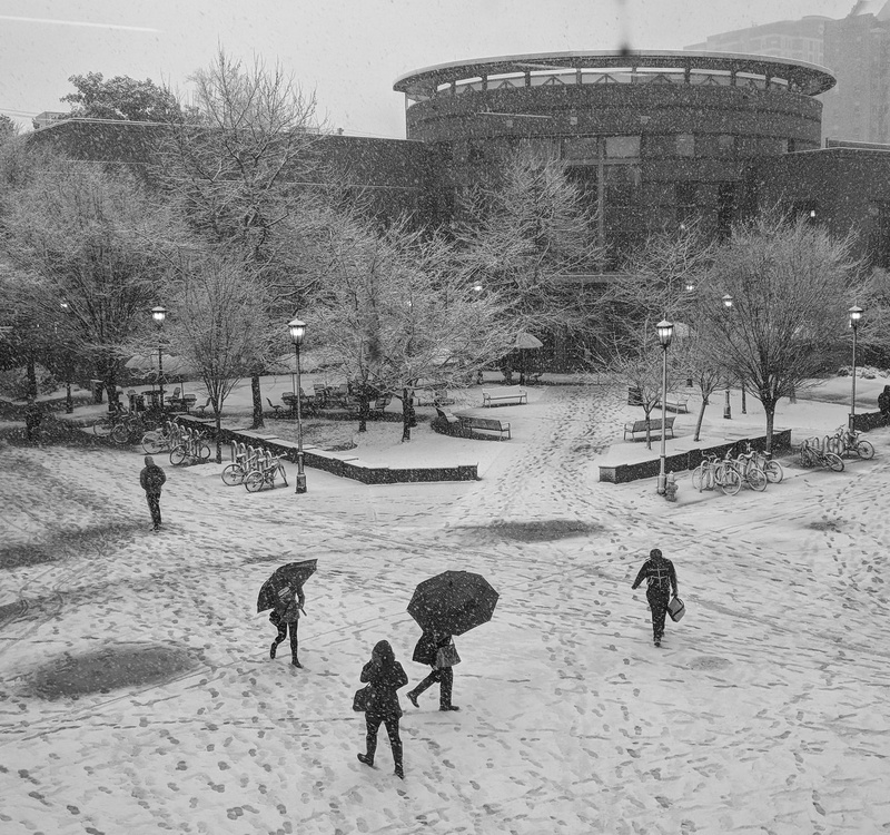 built structure, plant, cold temperature, snow, land, real people, leisure activity, vcu, building exterior, day, large group of people, footprints, 1080P