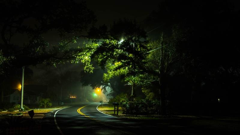 plant, streetlamp, road, sign, shadow, street light, the way forward, direction, car, tree, light trail, outdoors, long exposure, transportation, nature