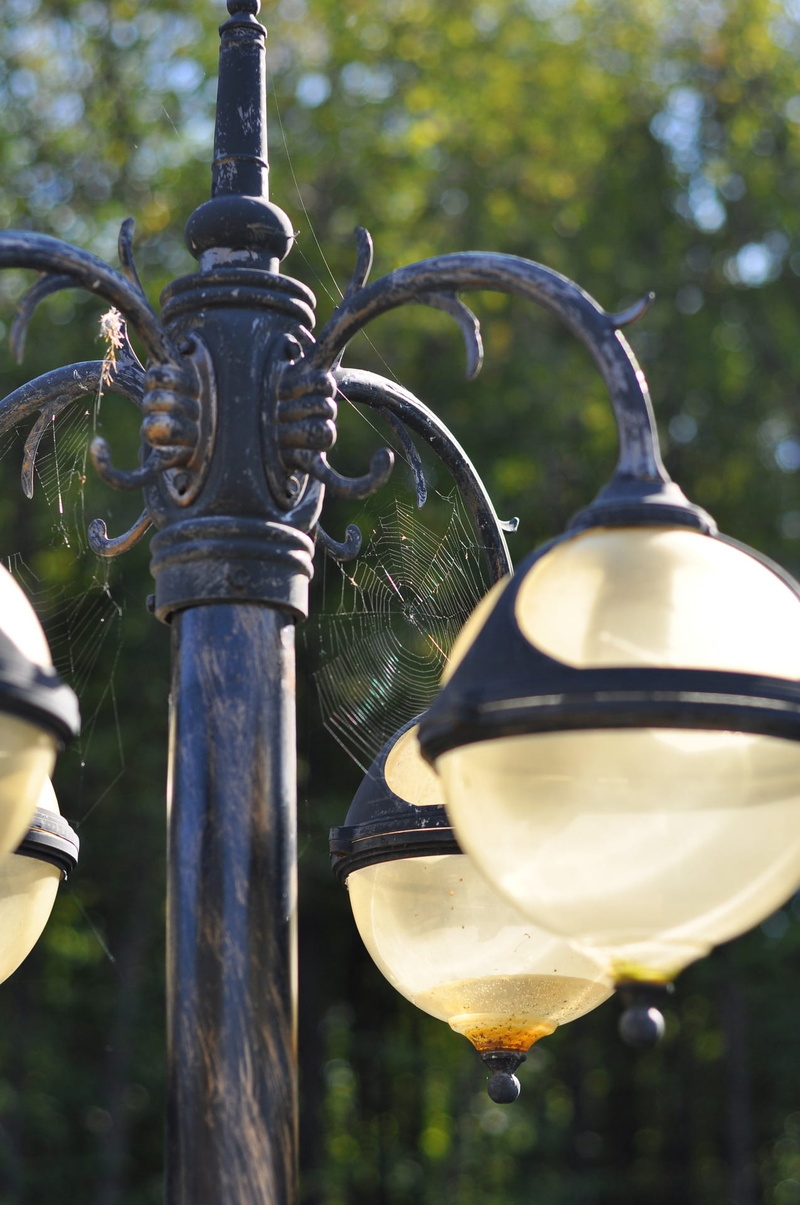 plant, electric lamp, outdoor, focus on foreground, low angle view, day, bell, electricity, lamp, illumination, travel destinations, Lantern, ornate, pole