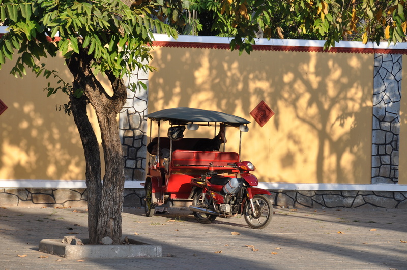 nature, travel, real people, transportation, men, outdoors, mode of transportation, road, city, phnom penh, growth, car, land vehicle, shadow, plant, sunlight