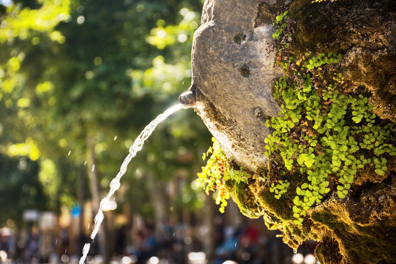 water spout, 5K, day, aix-en-provence, france, public fountain, outdoors, rough, southern france, lichen, old world, french culture, greenery, textured