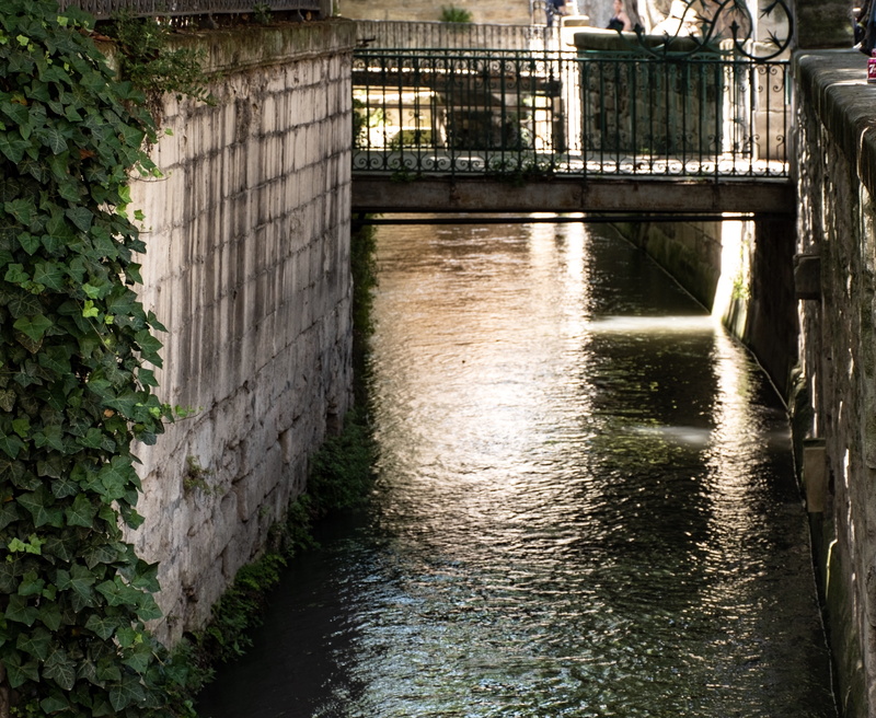 cobbled, plant, building, walking bridge, avignon, outdoors, street scene, waterfront, watercourse, flowing water, reflection, canal, greenery, vaucluse