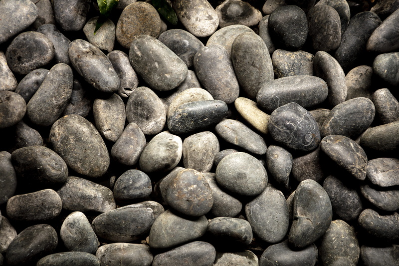 sidewalk, garden, walkway, food, pebble, animal, still life, blossom, cobblestone, large group of objects, flower, close-up, path, finch, solid, full frame
