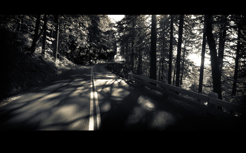 art, abstract, 1080P, forest, hd, Quite, road, photography