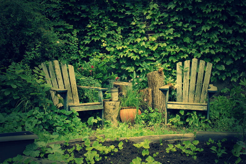 no people, garden, plant, fence, muskoka chairs, quite time, outdoors, nature, front or back yard, 2K, niche, tranquility, overgrown, orange color, overgrown garden