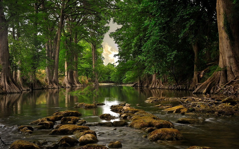 ultra, 2K, hd, quite, quiet, place, river, trees, water