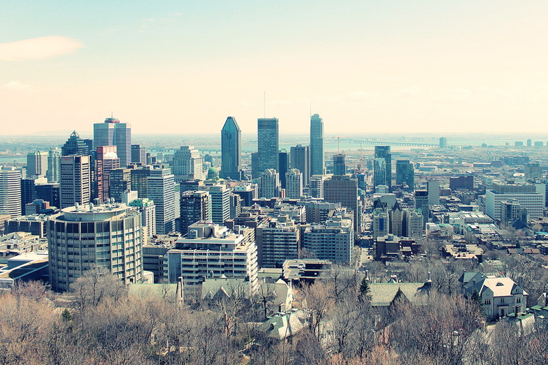 crowded, residential district, landscape, crowd, urban skyline, financial district, buildings, settlement, sky, office building exterior, tall - high, built structure