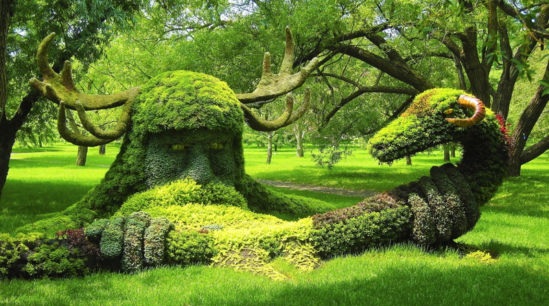Canada, snake, 1080P, Montreal, trees, horns, garden, park, grass