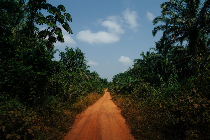 rural, transportation, diminishing perspective, africa, dirt road, no people, beauty in nature, safari, monrovia, 2K, growth, day, adventure, sky, tree