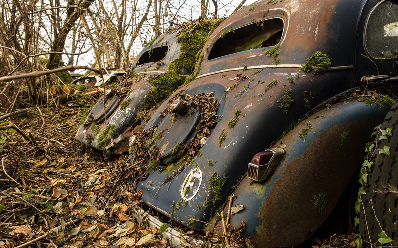 old, 2K, leaves, car, volkswagen, dead, autumn, two, transport, beetles, wood, cars, forest