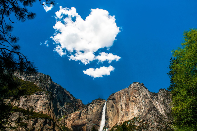 Nature, nevada, sunset, outdoor, beauty in nature, 4K, blue, day, travel, Usa, scenic, scenics - nature, tree, low angle view, Yosemite, outdoors, summer
