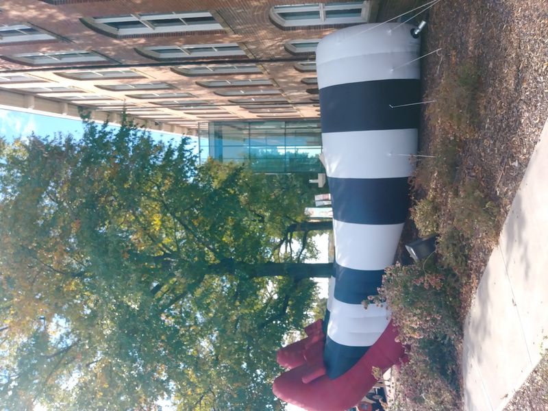 childhood, day, land, enjoy, explore, plant, united states, experience, growth, state capitol, exploring, tree, movie, columbia, green color, hope, outdoors
