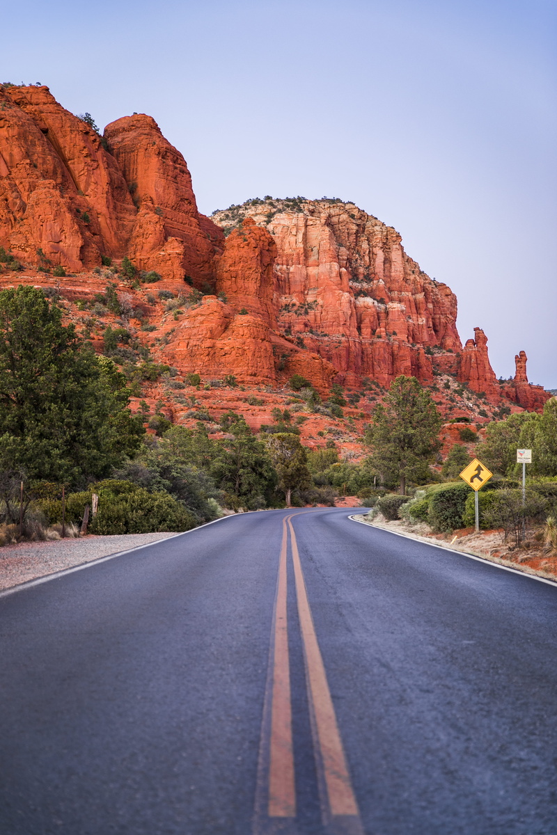 desert, tree, leading, southwest USA, rock, sandstone, day, outdoors, uSA, extreme Terrain, rock - Object, nature, landscape, journey, park - Man Made Space