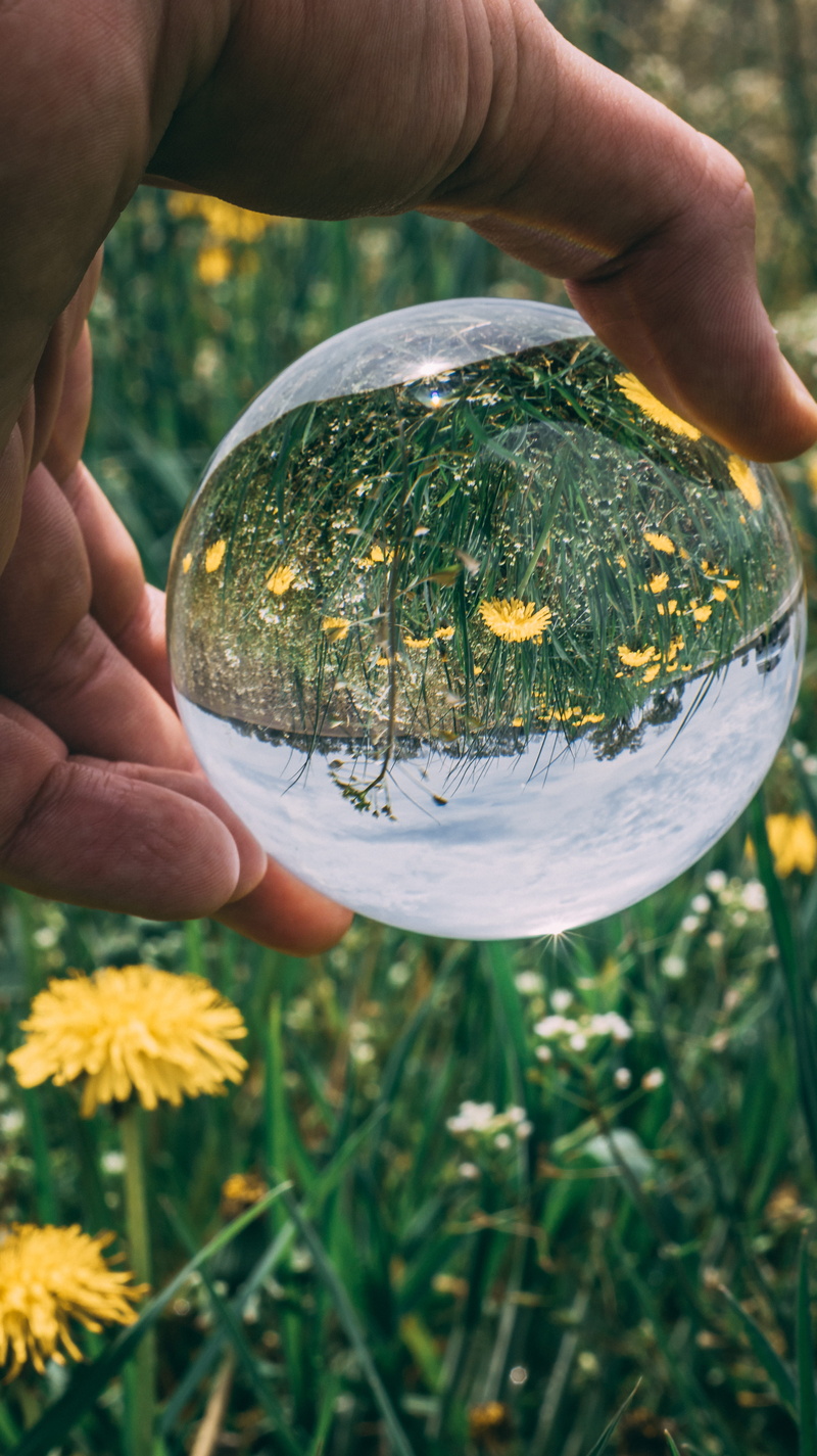 Lensball, ball, freshness, bright, glass ball, flora, flowers, human body part, blossom, growth, unrecognizable person, beautiful, finger, flowering plant