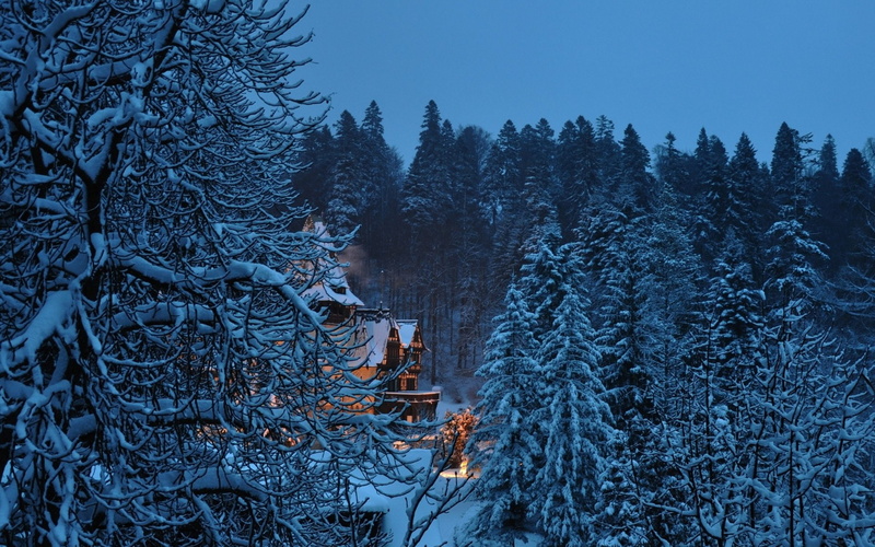 1080P, Castles, Winter, Romania, Peles Castle