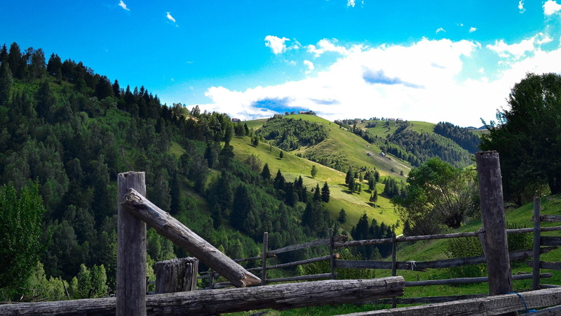 growth, beauty in nature, Transylvania, idyllic, day, sky, nature, 1080P, environment, wood - material, tranquility, land, tranquil scene, green, wooden post