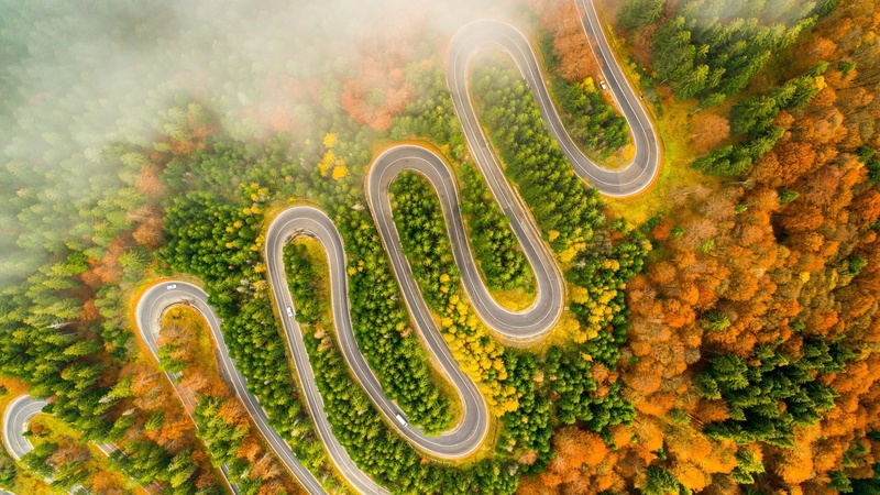 1080P, winding road, forest, photography, fog, autumn, winding, foggy, road, aerial view, autumn forest, drone view