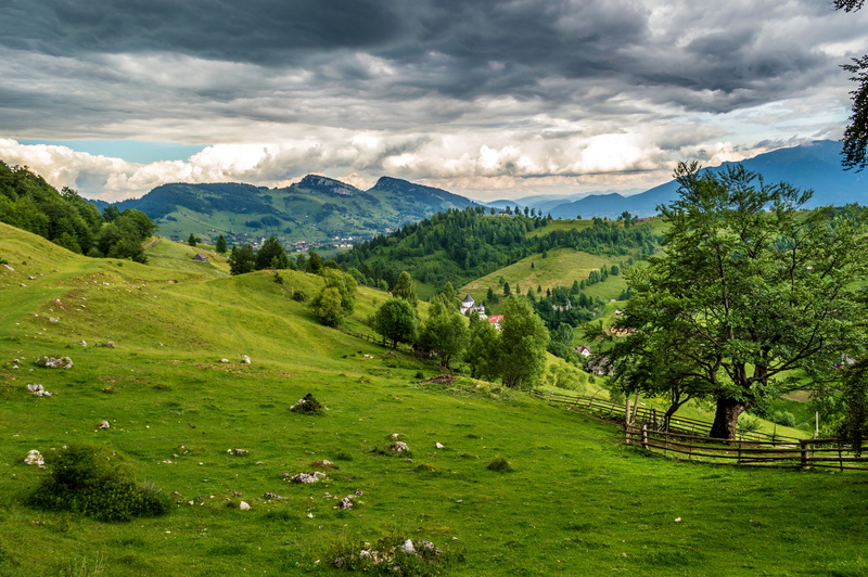 forest, 4K, switzerland, mountain Peak, scenics - nature, farm, idyllic, landscape, travel, green, cloudscape, sky, environment, springtime, tranquility