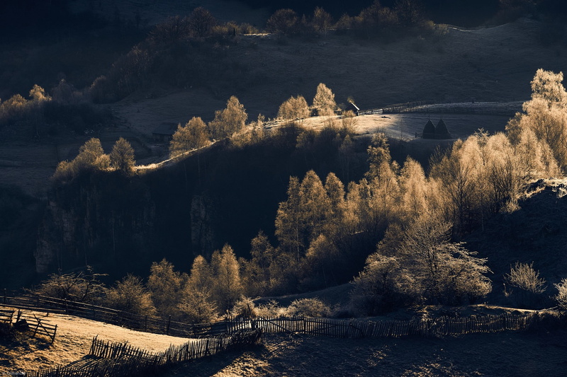 field, sunlight, fence, 1080P, trees, nature, landscape, Romania, shrubs