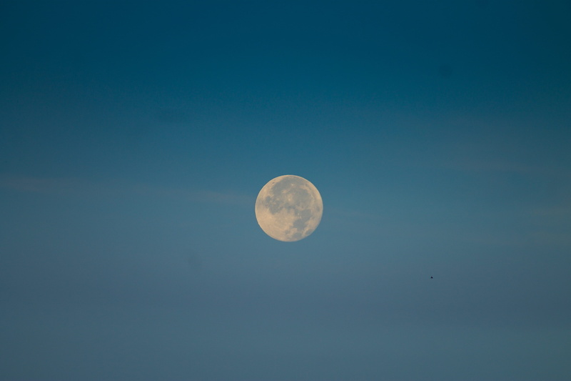 planetary moon, circle, astronomy, cluj-napoca, geometric shape, morning moon, night, morning, nature, scenics - nature, outdoors, tranquil scene, astrology
