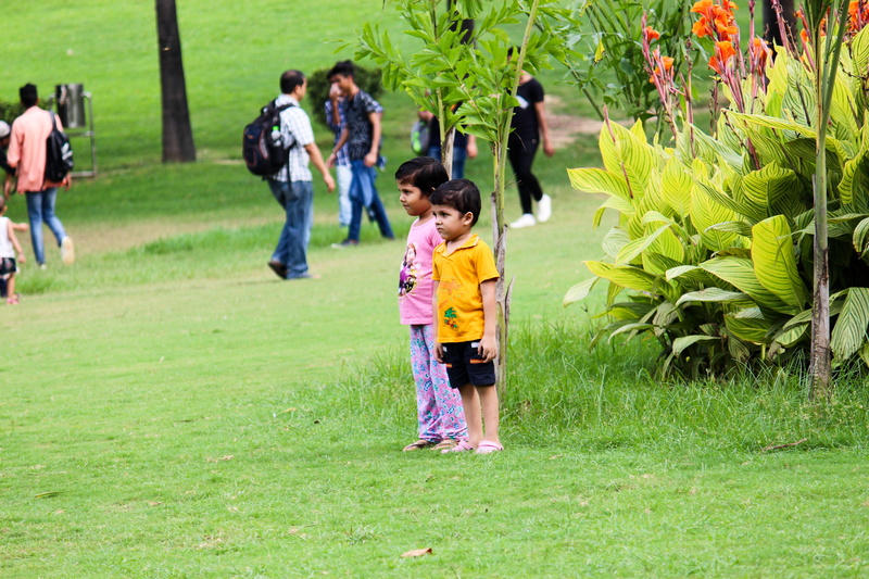 green color, park, kids, people, children, males, grass, casual clothing, offspring, child, nature, real people, garden, daughter, full length, playing