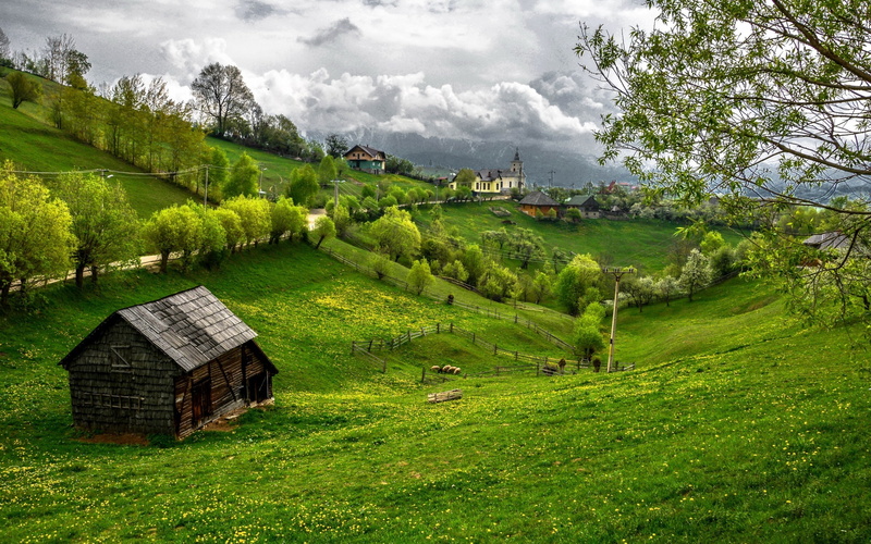 romania, grass, house, transylvania, 2K, trees, green, field