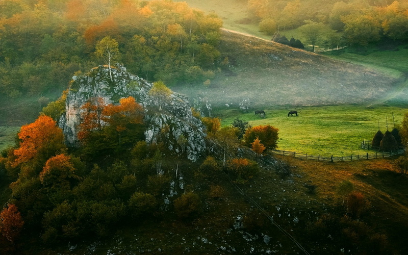 grass, beauty in nature, non-urban scene, hut, nature, day, change, mountain, landscape, tranquility, tranquil scene, morning, land, idyllic, rock, horse