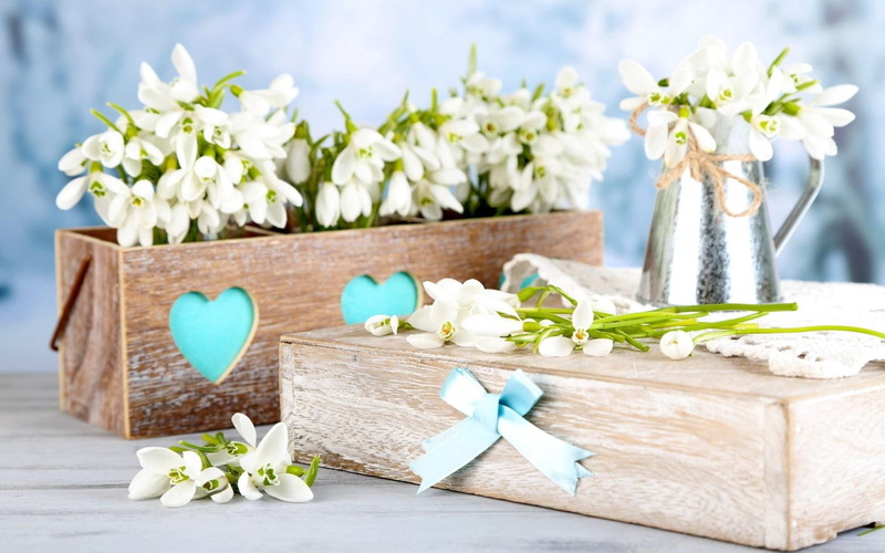 720P, bouquet, snowdrops, flowers, spring