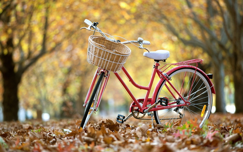Street, Autumn, Leaves, Bike, 1080P