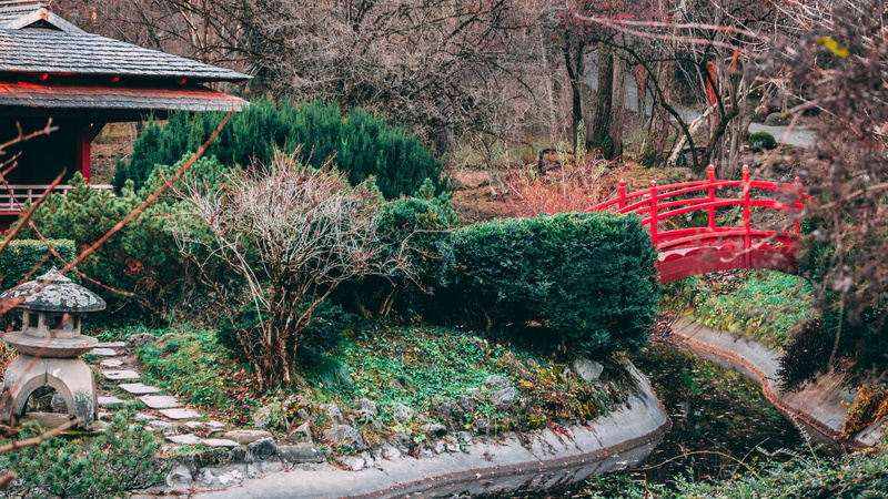 japan, garden, outdoors, formal garden, tree, cluj-napoca, botanical, plant, water, no people, bridge, green color, pagoda, tranquility, day, cluj, built structure