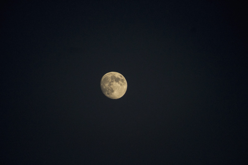 low angle view, planetary moon, tranquil scene, nature, beauty in nature, no people, space and astronomy, astronomy, tranquility, scenics - nature, sky