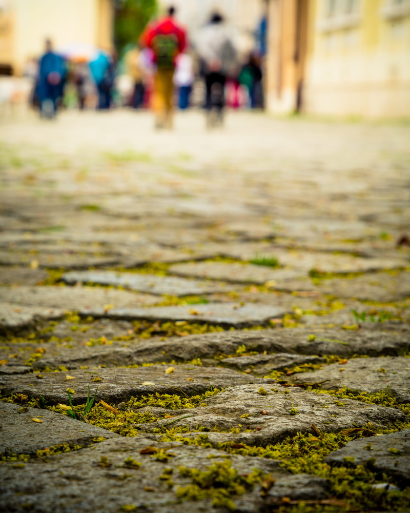 transportation, direction, walking, life, 4K, walk, romania, champion, grass, focus on foreground, street, winner, win, people, outdoors, men, medium group of people
