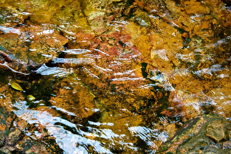 river, wild, autumn, 5K, beauty in nature, china, close-up, moss, waterfront, outdoors, high angle view, lichen, water, nature, change, stream