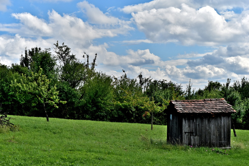 cabin, growth, clear, blue, climate, scenic, green color, high, environment, light, sunshine, outdoors, heaven, land, summer, architecture, house, building exterior