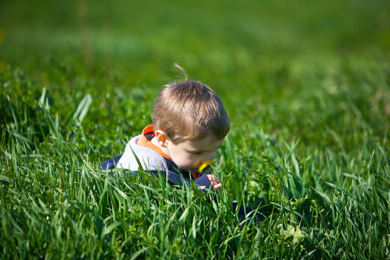 grass, runway, summer, outdoors, checker, green grass, rc, first, plane, flyers, child, cc3, one Person, 4K, remote  control, green, small, playing, boys