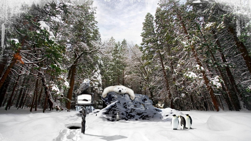 playground, winter, nature and landscapes, snow, trees, animals, nature, 1080P, playgrounds