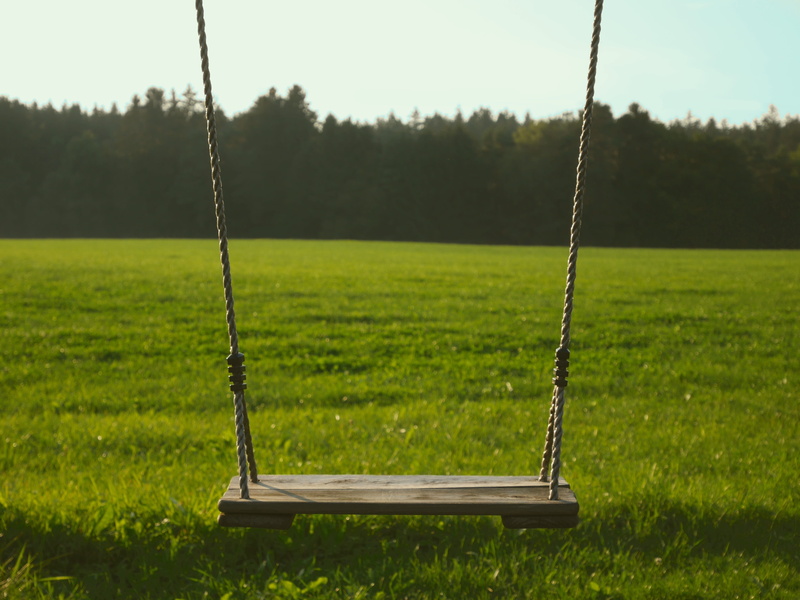 happiness, activity, sunny, playground, plant, vacation, land, field, outdoors, garden, leisure, green, tranquility, evening, recreation, play, swinging
